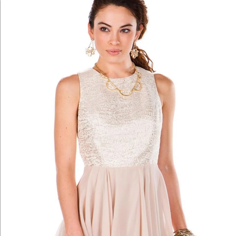 NWT Mustard Seed cocktail dress brocade M
